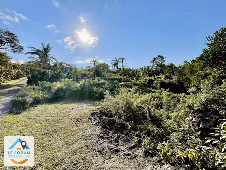 vente terrain 430 m² à saint philippe (97442)  91 000 €