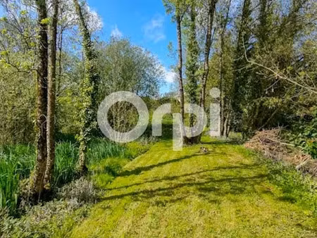 vente terrain à batir 2918 m² à saint-laurent-de-la-pree (17450)  169 600 €