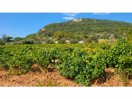 vente terrain 450 m² à gonfaron (83590)  125 000 €