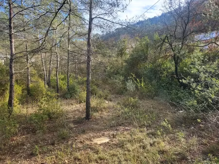 vente terrain 750 m² à brignoles (83170)  137 000 €