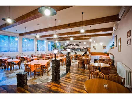 vente locaux professionnels à montoire-sur-le-loir (41800)  304 500 €