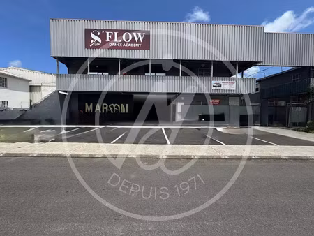location locaux professionnels 458 m² à les abymes (97139)  4 726 €