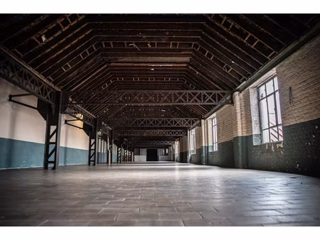 local d'activité roncq 350 m2