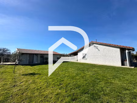 maison de plain-pied entourée de nature