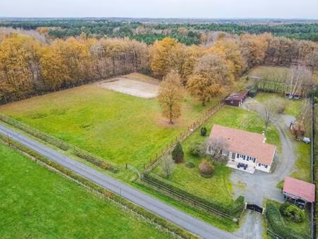 megagence julien guay