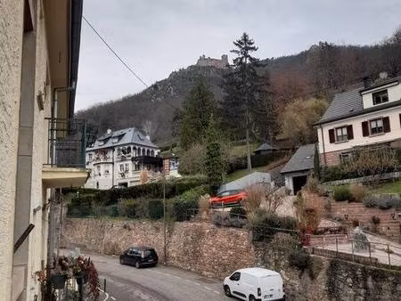 heitzmann luc capifrance