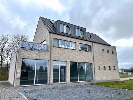 surface commerciale à louer à nieuwmoersesteenweg 105 essen (rbu82071)