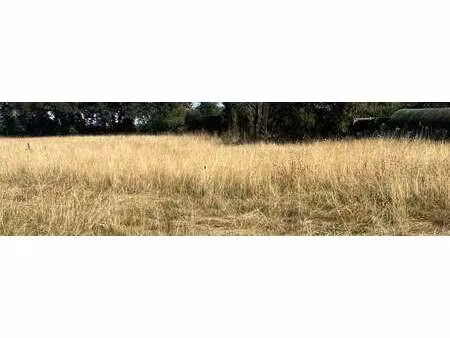 vente terrain à château-thébaud (44690) : à vendre / château-thébaud