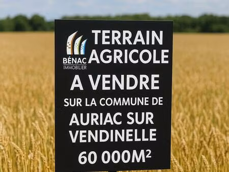 achat terrain 60 489m² auriac sur vendinelle 31460