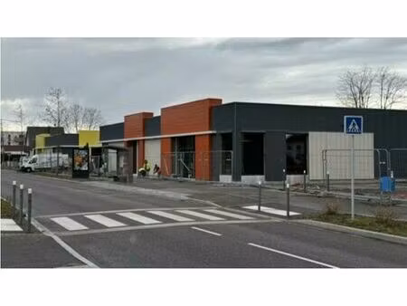 location commerce huningue 615 m²