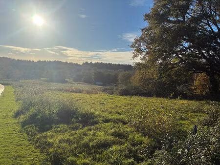 achat terrain 7 517m²