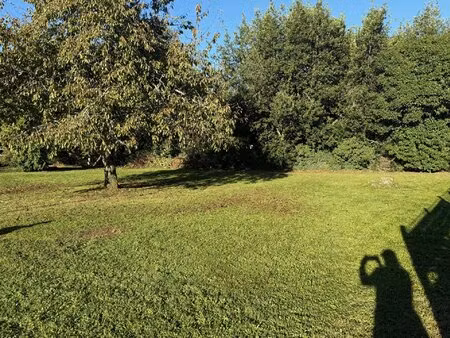 terrain constructible