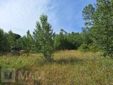 grand terrain constructible