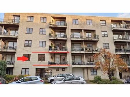 appartement te koop in kessel-lo met 2 slaapkamers