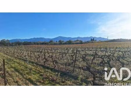 vente terrain à bages (66670) : à vendre / 20509m² bages