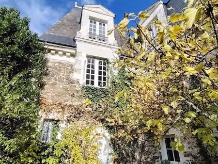 vente maison 18 pièces 511 m² à savennières (49170)  577 000 €
