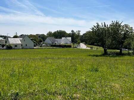 vente terrain 336 m² limerzel (56220)