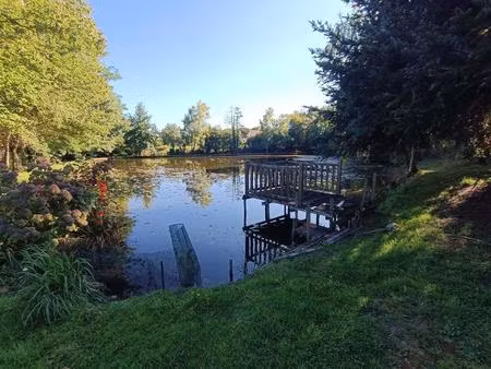 achat : maison (19230)