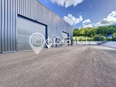 local artisanal neuf samsons lion