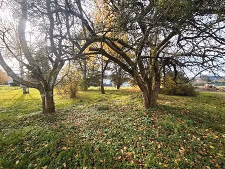 secteur arches/archettes terrain constructible 2700 m2 7 mn d' epinalterrain 2700 m^2 avec