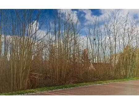 terrain lizy-sur-ourcq m² t- à vendre  46 000 €