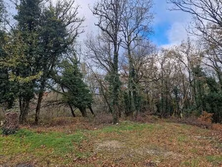 terrasson immobilier