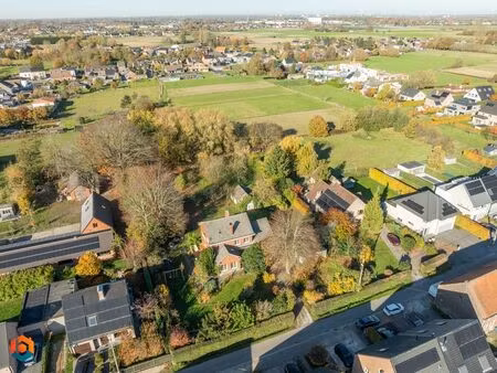 maison à vendre à meise € 760.000 (li133) - boonstra vastgoedgroep | zimmo