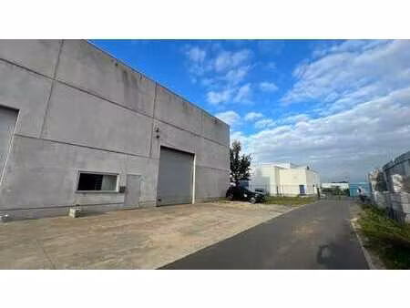 entrepôt avec bureau à louer à booiebos à drongen