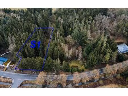 terrain à bâtir à burg-reuland