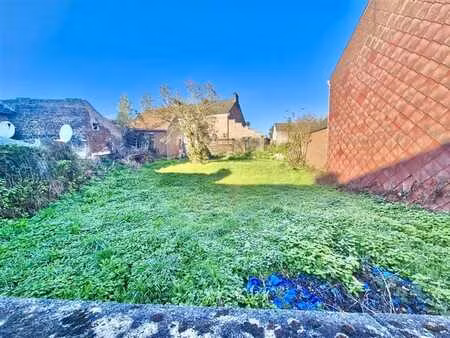 terrain avec projet !