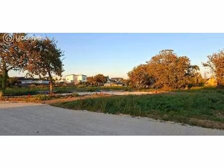 vente terrain au conquet (29217) : à vendre / 768m² le conquet