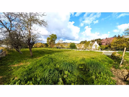 terrain à vendre à locquirec (29241) - finistère