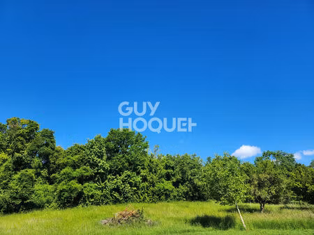 terrain villenauxe la grande