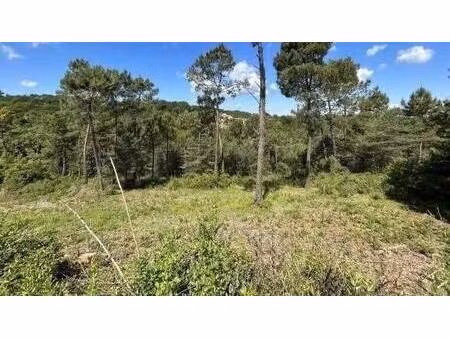 terrain constructible viabilisé à vendre