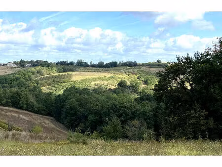 vente terrain 1420 m² piquecos (82130)