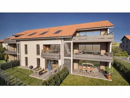 arribas immobilier