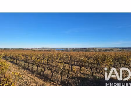 vente terrain 15874 m² à pollestres (66450)  20 000 €