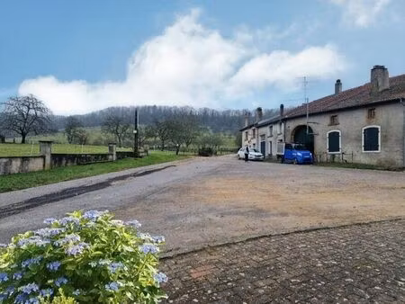 vente maison 10 pièces 250 m² gironcourt-sur-vraine (88170)