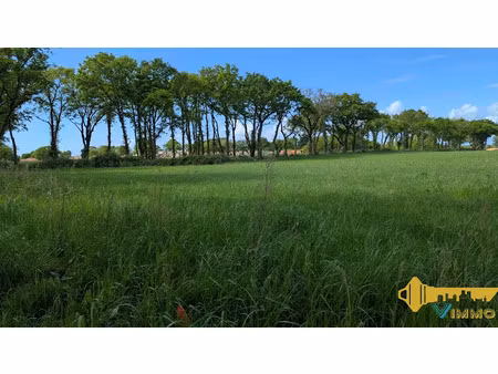 vente terrain 261 m² à saint-père-en-retz (44320)  66 300 €