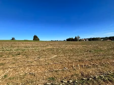 vente terrain à uglas (65300)  77 400 €