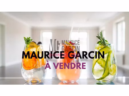 vente locaux professionnels 100 m² à cavaillon (84300)  192 000 €