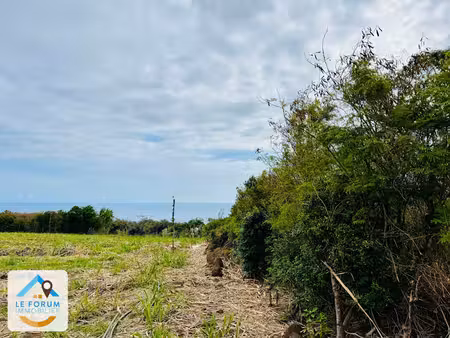 vente terrain 1400 m² à saint pierre (97410)  657 000 €
