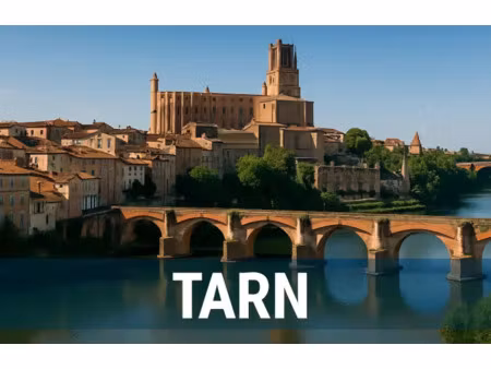 agence immobilière : véritable opportunité de reprise dans le tarn