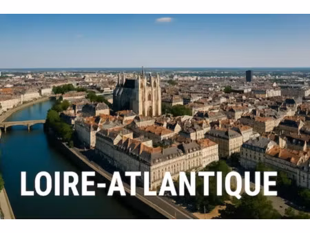 agence immobilière à vendre – loire-atlantique (44)
