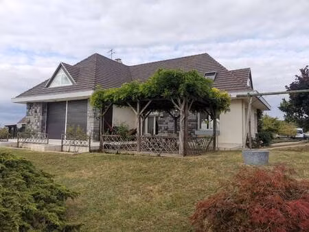 véronica fontes corgo