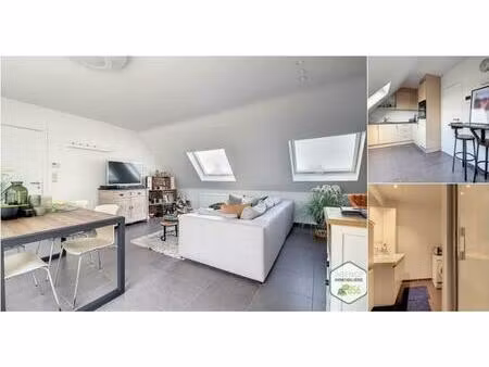 appartement à louer à moeskroenstraat 717/0201 menen (vbd60019)