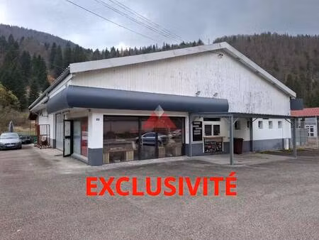 l'immobiliere franco-suisse