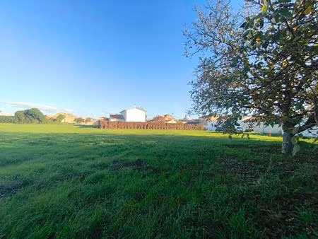 terrain puyravault 1205 m2