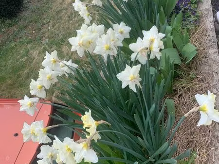 garage à louer avon 7minutes gare 120