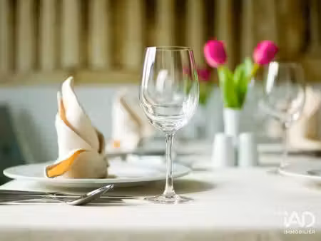 vente restaurant 150 m²